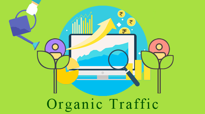 Organic traffic search Organic traffic search